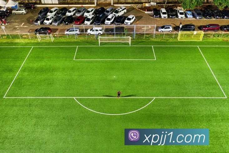 澳门新葡京官网发展历程